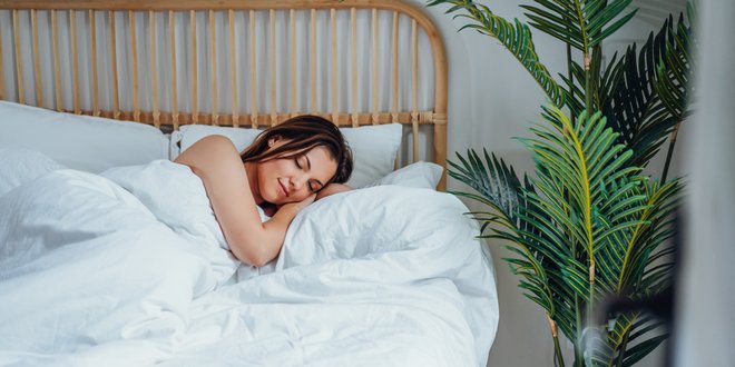 allnatura - donsdekbed - comfortabel slapen - optimaal slaapcomfort