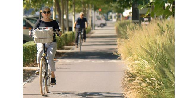 50-plussers Sportelen in Brasschaat