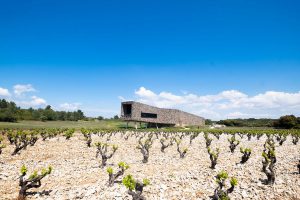 Chateau Castigno Assignan wijngaard en hotel