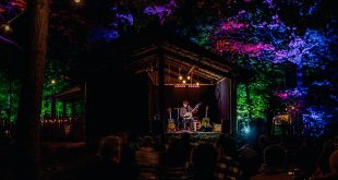 Nieuwe intieme concerten in het bos van Wildert