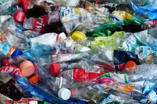 Tullepetaonen hebben maar liefst 3920 kilo plastic ingeleverd!