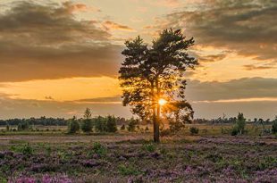 Cursus Gastheer/Gastvrouw van Grenspark Kalmthoutse Heide
