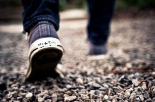 Energieke wandeling op dinsdagavond 4 juni