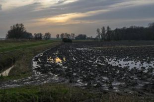 Gemeenteraad keurt hemelwater- en droogteplan goed