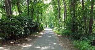 Internet in het Woonbos in Wildert Vooruitgang of Achteruitgang