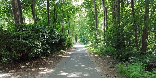 Internet in het Woonbos in Wildert Vooruitgang of Achteruitgang