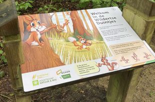 Nieuw natuurleerpad doet kinderen het bos ontdekken