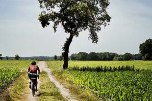 Gravel evenement PlugPlug Voorkempen verwacht 1500 deelnemers