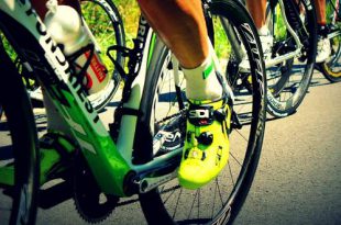 Op 15 juni is het weer Gooreind Koerse