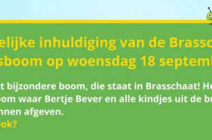 Brasschaat krijgt een eigen Tutjesboom bij Huis van het Kind