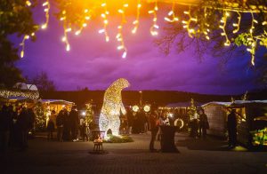 Kerstmarkt met grote beer - Han-sur-Lesse - Grotten van Han