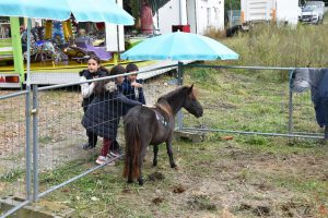 Mobiele kinderboerderij - Caroline Deruytter vertelt - (c) Noordernieuws 2024 - HDB_1756