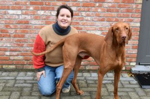 Gaëlle Renette - Beroep Hondenuitlaat