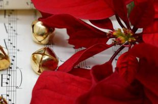 Kerstconcert Aidomen Kalmthout 3