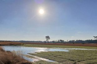 Antwoord minister Jo Brouns stelt natuurvereniging GroenRand teleur