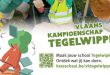 Brasschaat wil minstens 47 817 tegels wippen