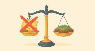Gemeente Essen heft activeringsheffing op: geen belasting meer op onbebouwde percelen