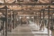 Sint-Elooi opent de deuren van komische nieuwe audiogids in het Karrenmuseum