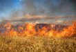 Code rood voor brandgevaar in natuurgebieden