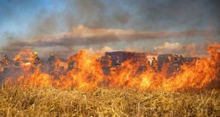 Code rood voor brandgevaar in natuurgebieden