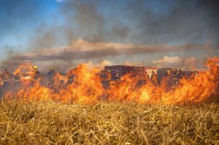 Code rood voor brandgevaar in natuurgebieden