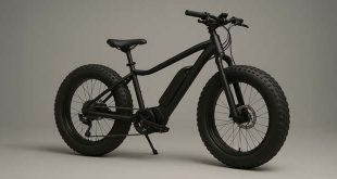 Politie treedt op tegen te snelle fatbikes