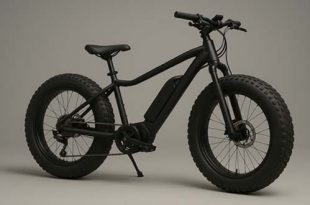 Politie treedt op tegen te snelle fatbikes