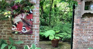 Ecotuindagen in Essen, Kalmthout en Wuustwezel
