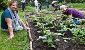 Ecotuindagen in Essen, Kalmthout en Wuustwezel 2