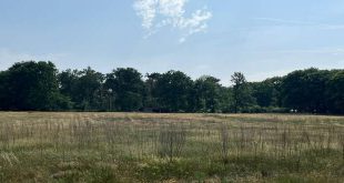 Gemeente Essen onderzoekt nieuwe toegangspoort naar Grenspark