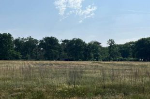 Gemeente Essen onderzoekt nieuwe toegangspoort naar Grenspark