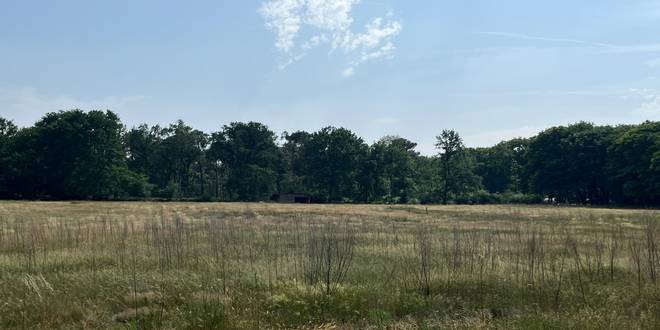 Gemeente Essen onderzoekt nieuwe toegangspoort naar Grenspark