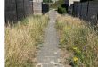 Groenvoorziening loopt mank in district