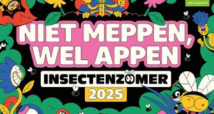 Natuurpunt trapt Insectenzomer af met opvallende fotoreeks