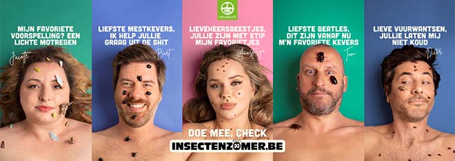 LieveBlanquart_insectenzomerreeks