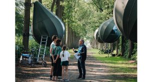 Overnachten in de bomen van domein Franciscanessen