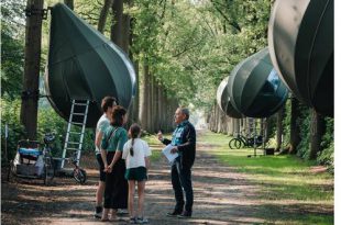 Overnachten in de bomen van domein Franciscanessen