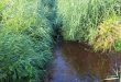 Uitbreiding van het tijdelijk onttrekkingsverbod voor onbevaarbare waterlopen