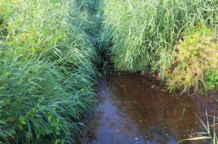 Uitbreiding van het tijdelijk onttrekkingsverbod voor onbevaarbare waterlopen