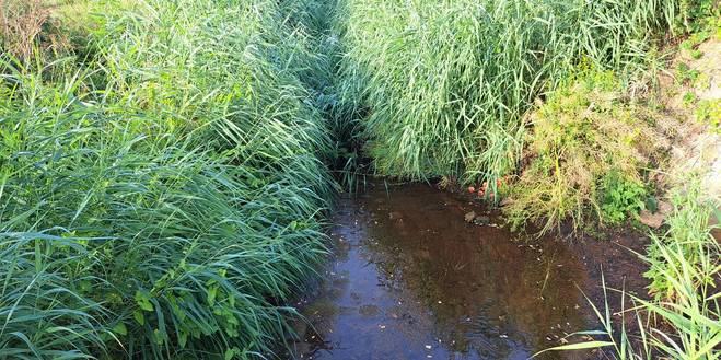 Uitbreiding van het tijdelijk onttrekkingsverbod voor onbevaarbare waterlopen