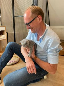 Nieuwe stamboom voor katten zorgt voor meer dierenwelzijn 2