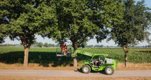 Wuustwezel plaatst 100 nieuwe vleermuiskasten in strijd tegen eikenprocessierups