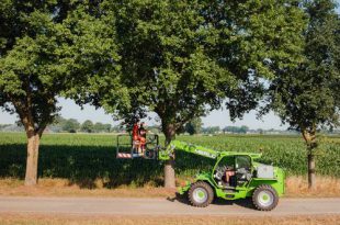 Wuustwezel plaatst 100 nieuwe vleermuiskasten in strijd tegen eikenprocessierups