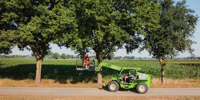 Wuustwezel plaatst 100 nieuwe vleermuiskasten in strijd tegen eikenprocessierups