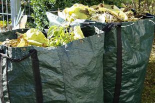 Afvalophaling zone 2 op 15 augustus