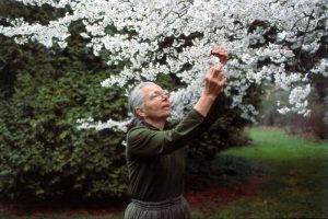 Arboretum Kalmthout eert plantenvrouw Jelena Kovačič-De Belder met Herinneringsweek 2