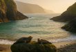 Vakantie Zuid-West-Wales - Zeehonden op rots in baai