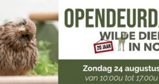 Zondag opendeurdag VOC Brasschaat Kapellen