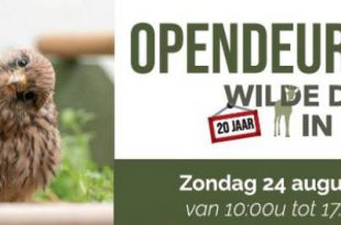 Zondag opendeurdag VOC Brasschaat Kapellen