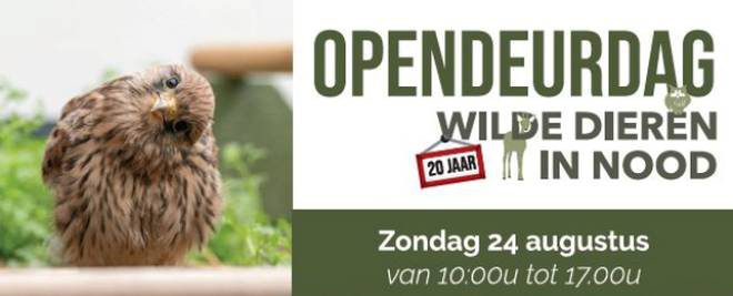 Zondag opendeurdag VOC Brasschaat Kapellen